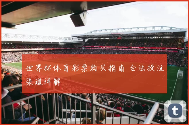 世界杯体育彩票购买指南 合法投注渠道详解