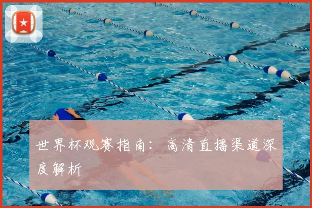 世界杯观赛指南：高清直播渠道深度解析