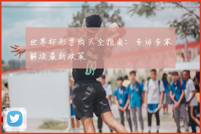 世界杯彩票购买全指南：专访专家解读最新政策
