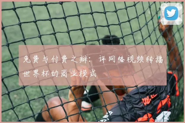 免费与付费之辩:评网络视频转播世界杯的商业模式