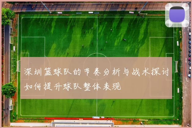 深圳篮球队的节奏分析与战术探讨如何提升球队整体表现