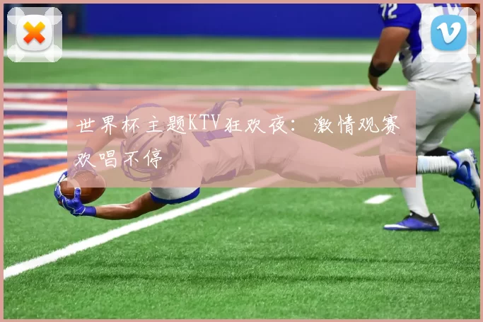 世界杯主题KTV狂欢夜:激情观赛 欢唱不停