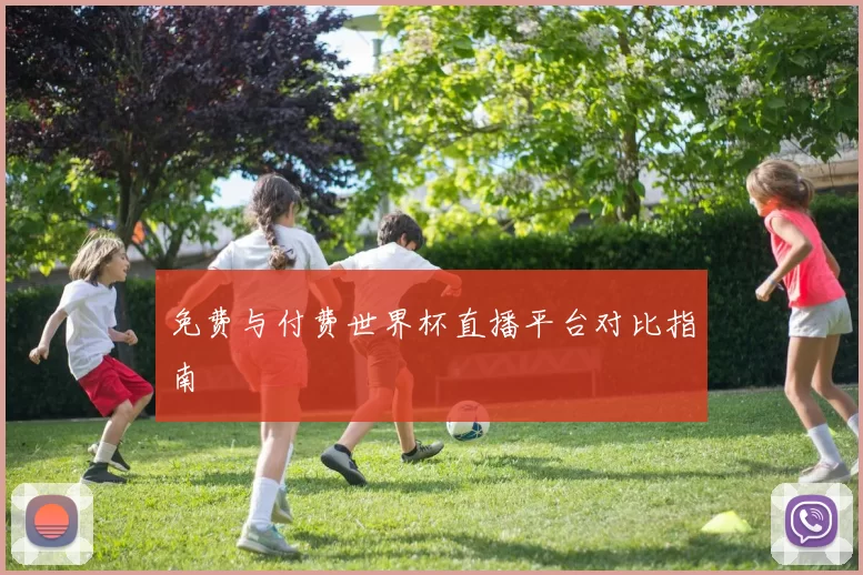 免费与付费世界杯直播平台对比指南