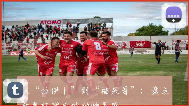 从“拉伊卜”到“福来哥”：盘点世界杯背后的动物灵感