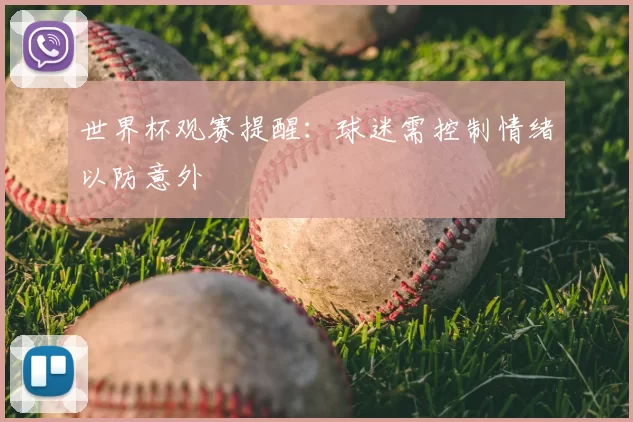 世界杯观赛提醒：球迷需控制情绪以防意外