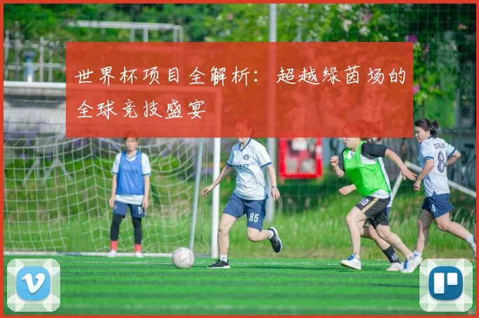 世界杯项目全解析:超越绿茵场的全球竞技盛宴