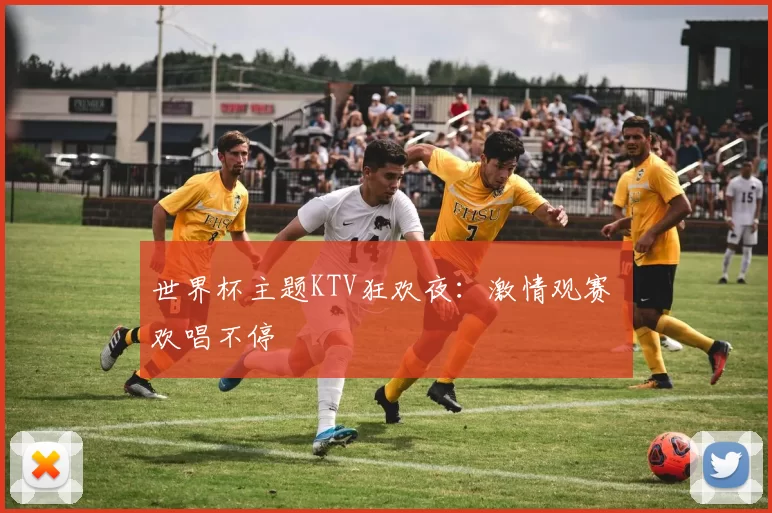 世界杯主题KTV狂欢夜：激情观赛 欢唱不停