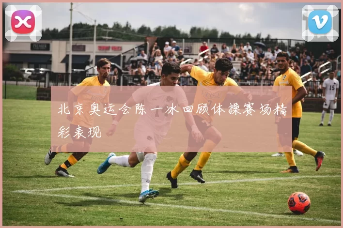 北京奥运会陈一冰回顾体操赛场精彩表现