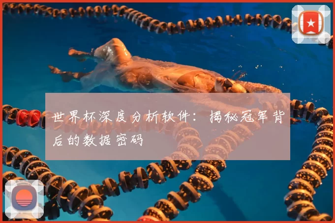 世界杯深度分析软件：揭秘冠军背后的数据密码