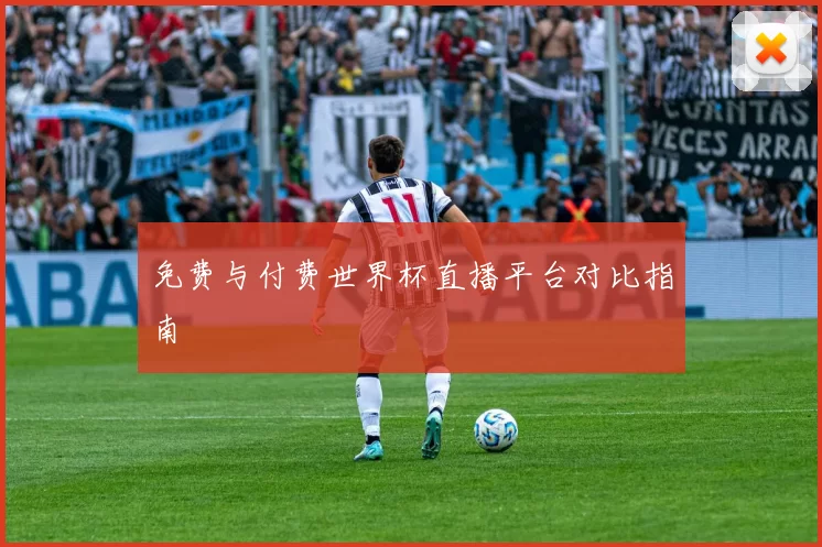 免费与付费世界杯直播平台对比指南