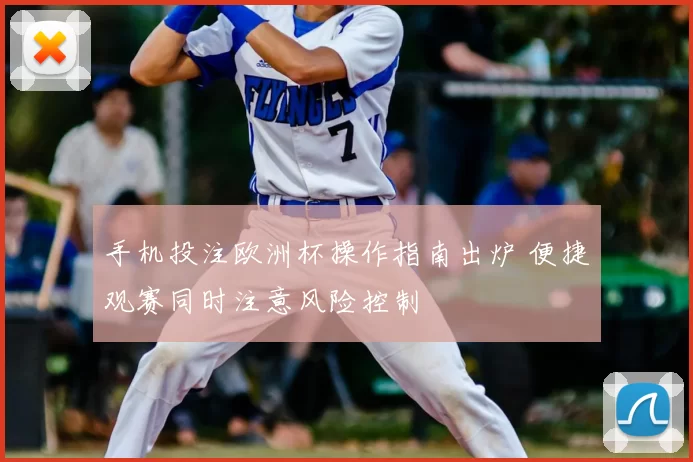 手机投注欧洲杯操作指南出炉 便捷观赛同时注意风险控制